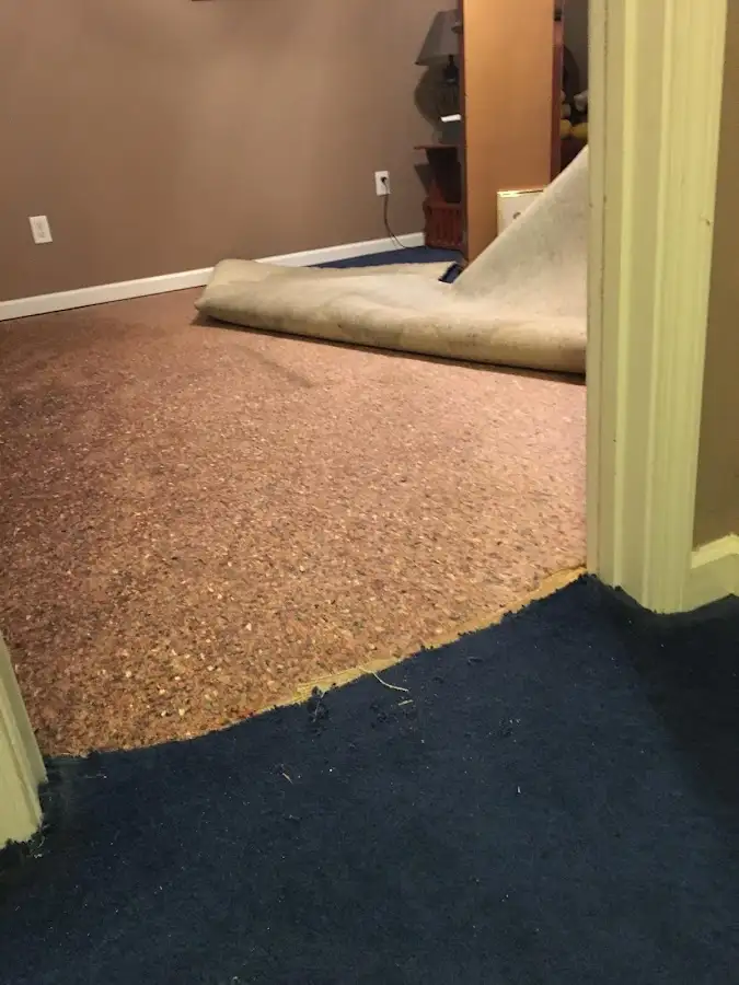 Carpet pad removal revealing water damage during Water Mitigation Services in Johnsburg